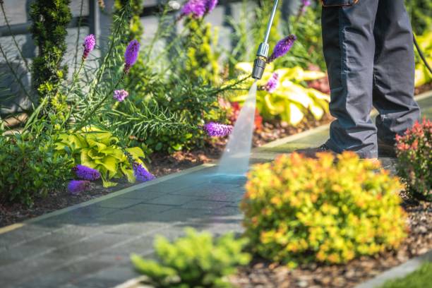 Best Parking Lot and Garage Cleaning  in South Sarasota, FL